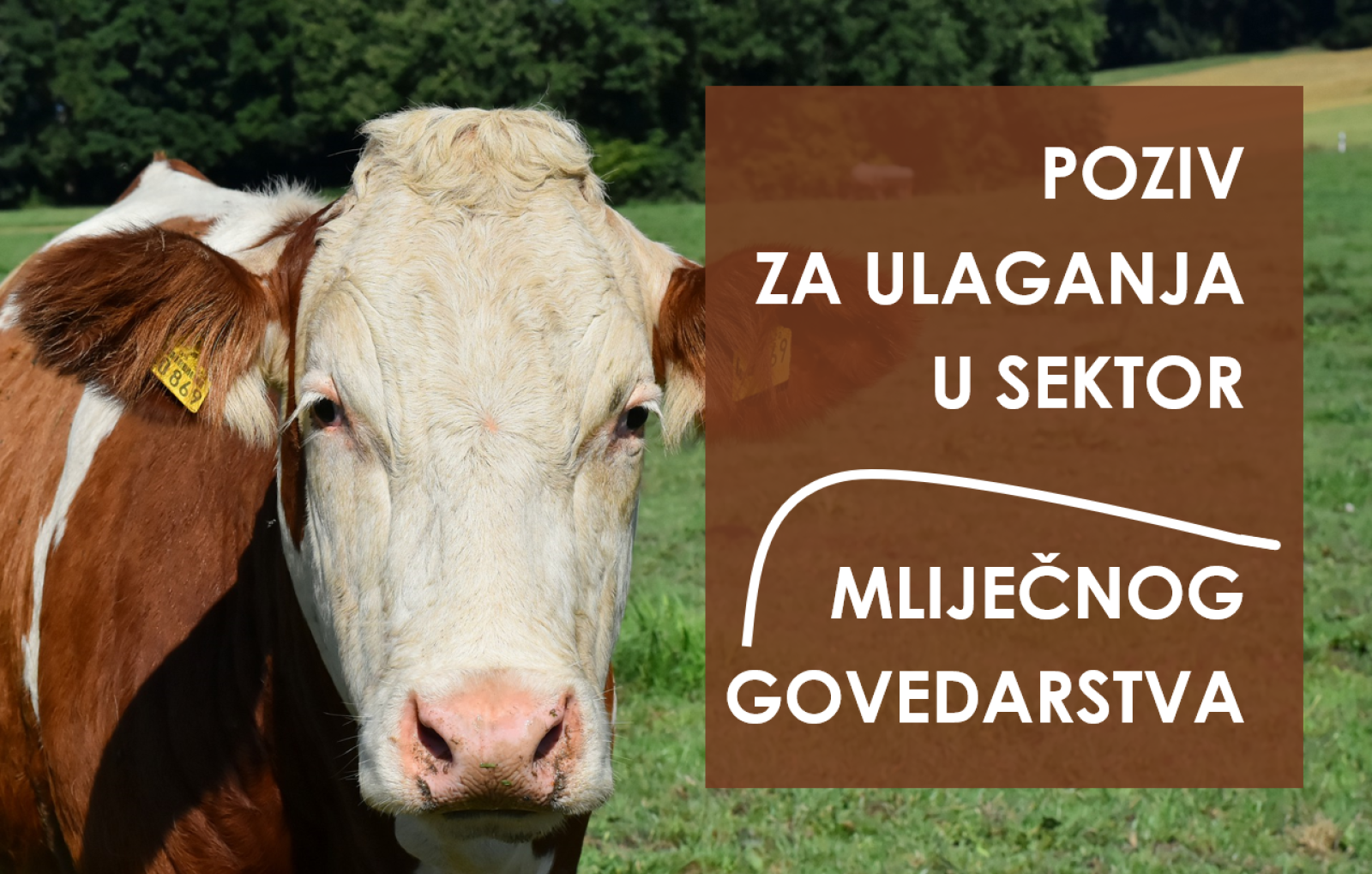 Otvoren je poziv za ulaganja u sektor mliječnog govedarstva