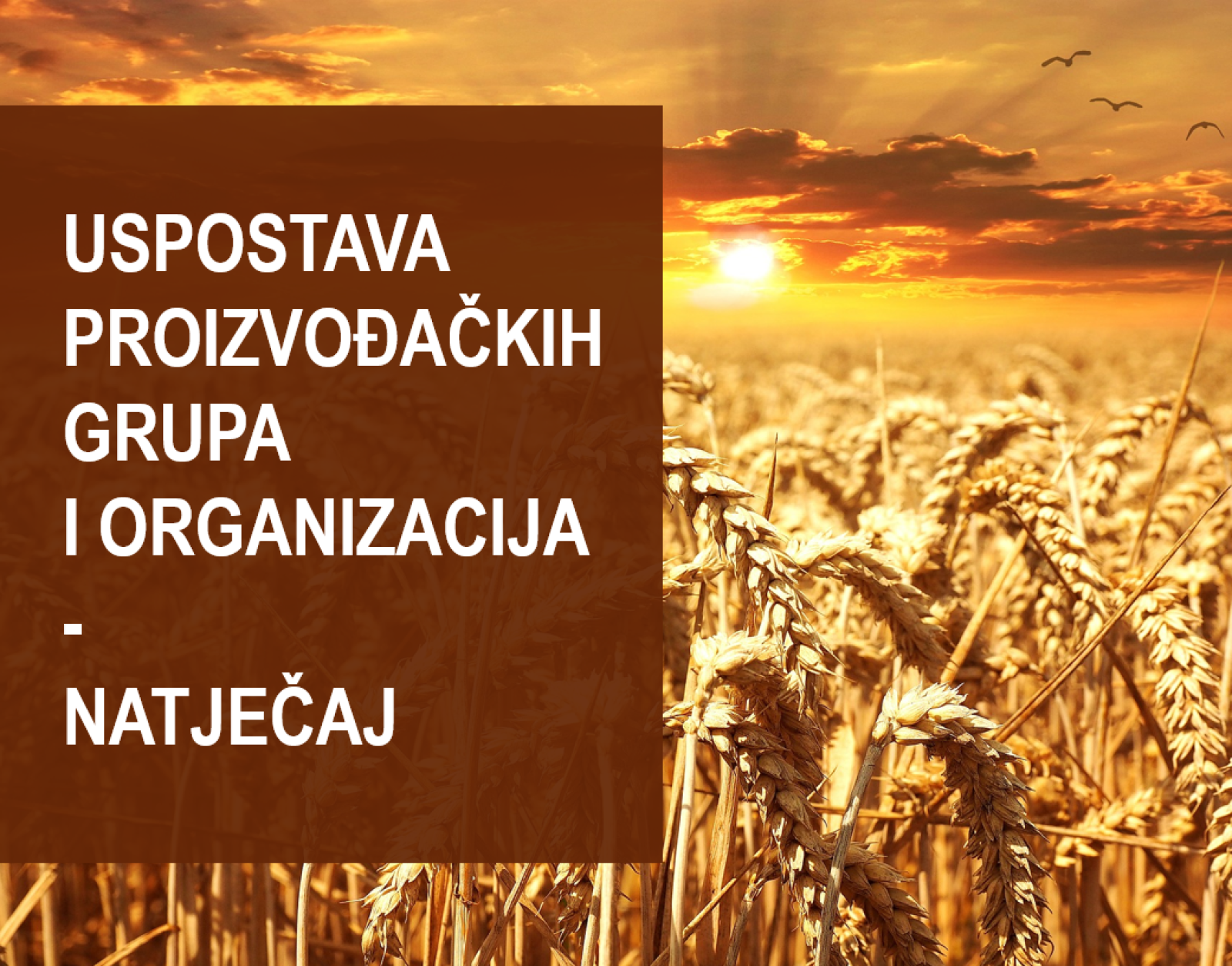 Uspostava proizvođačkih grupa i organizacija- Natječaj