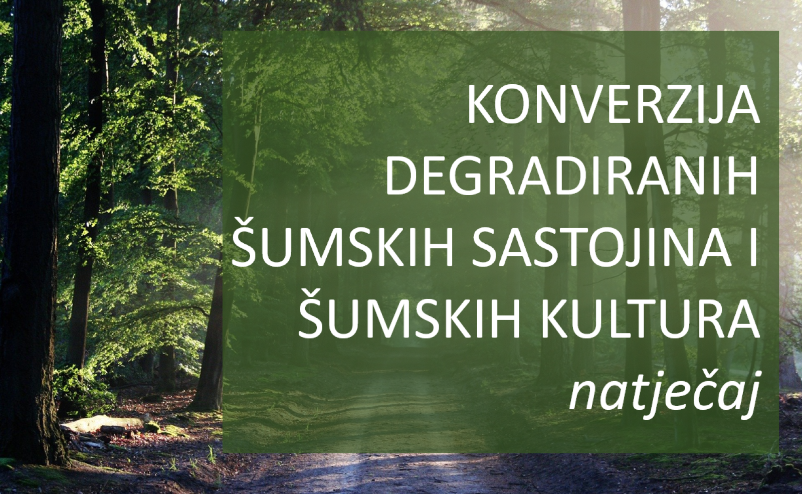 Konverzija degradiranih šumskih sastojina i šumskih kultura- Natječaj
