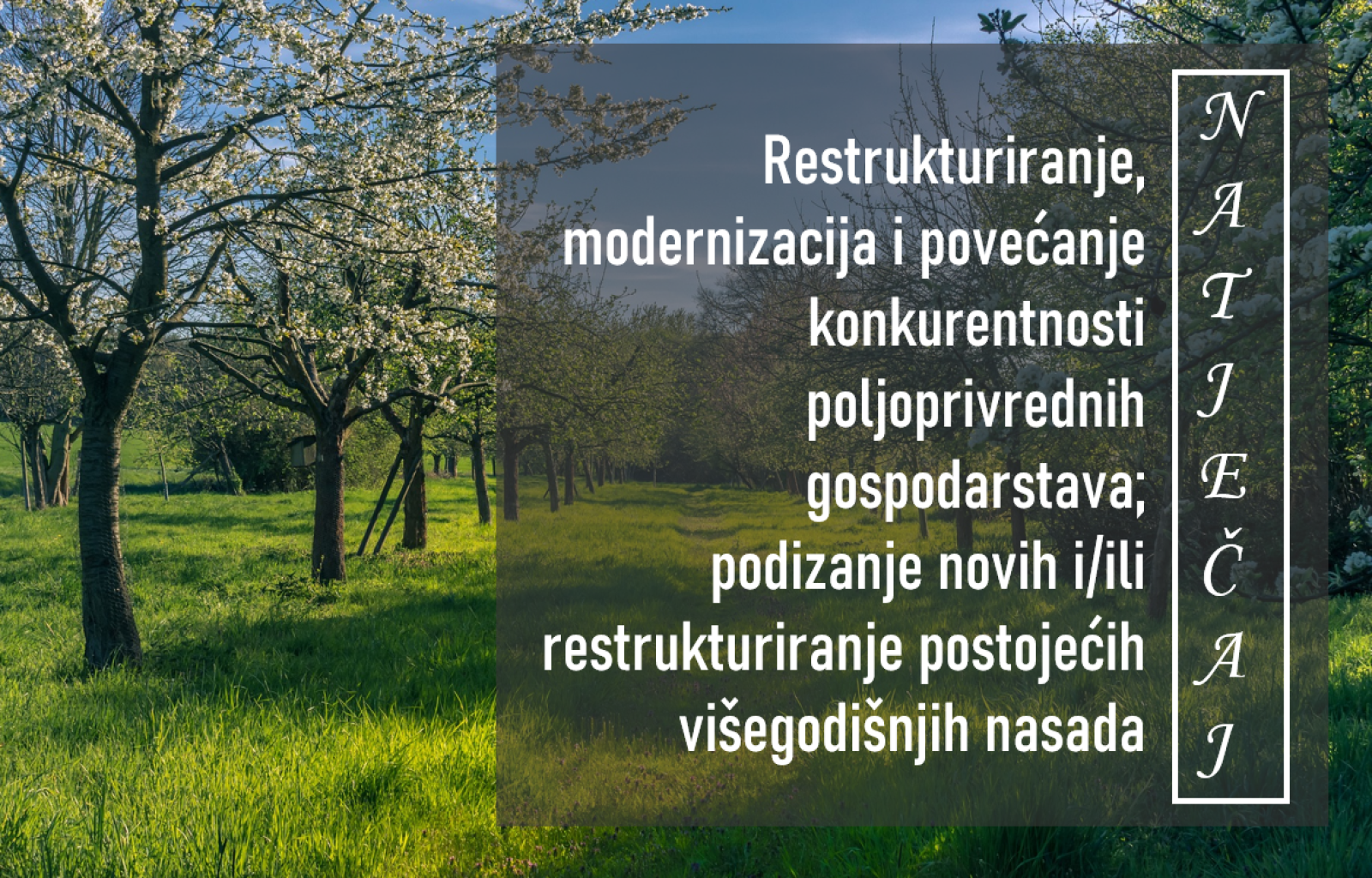 Objavljen natječaj za podizanje novih i/ili restrukturiranje postojećih višegodišnjih nasada