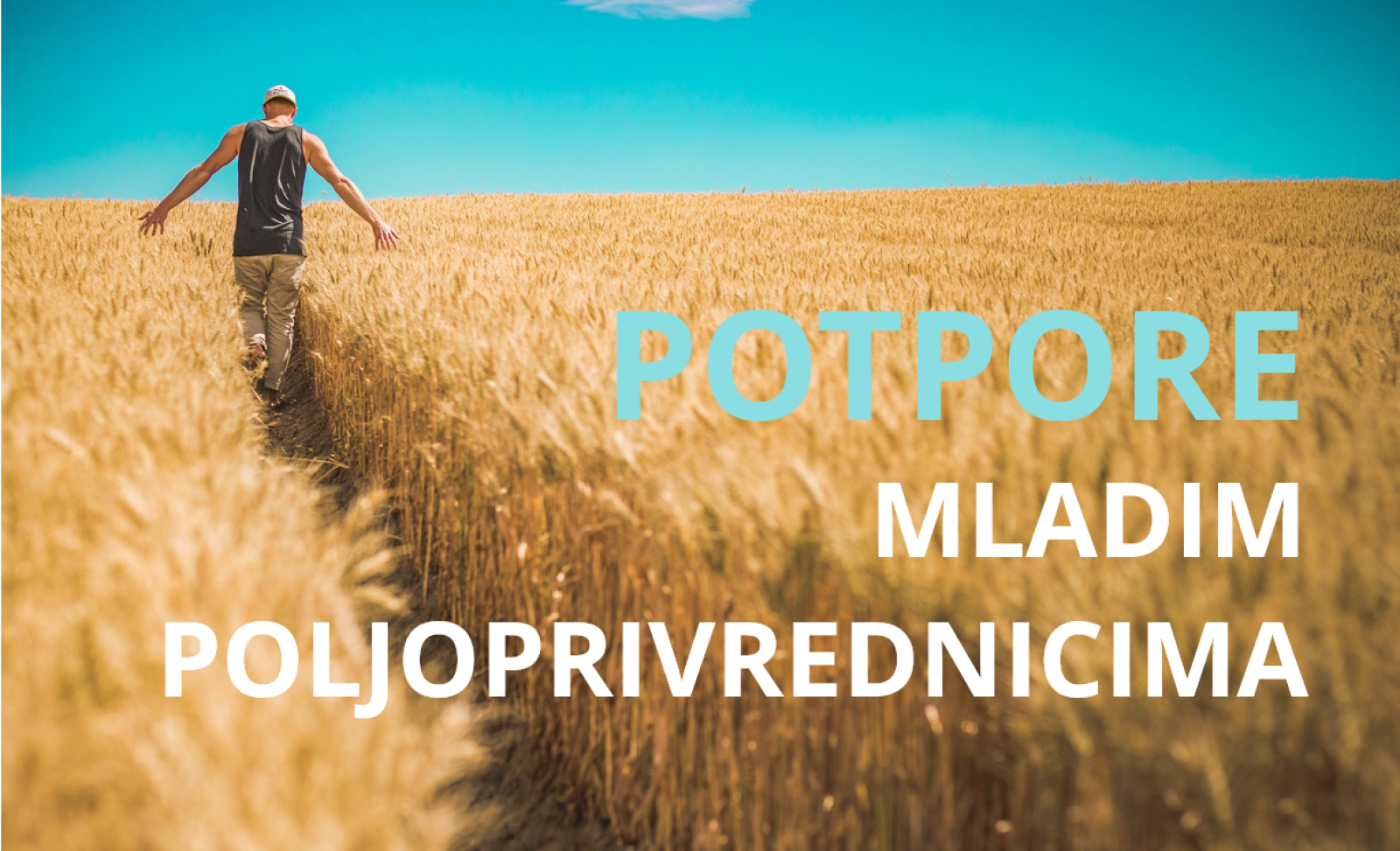 Potpore mladim poljoprivrednicima- objavljen natječaj