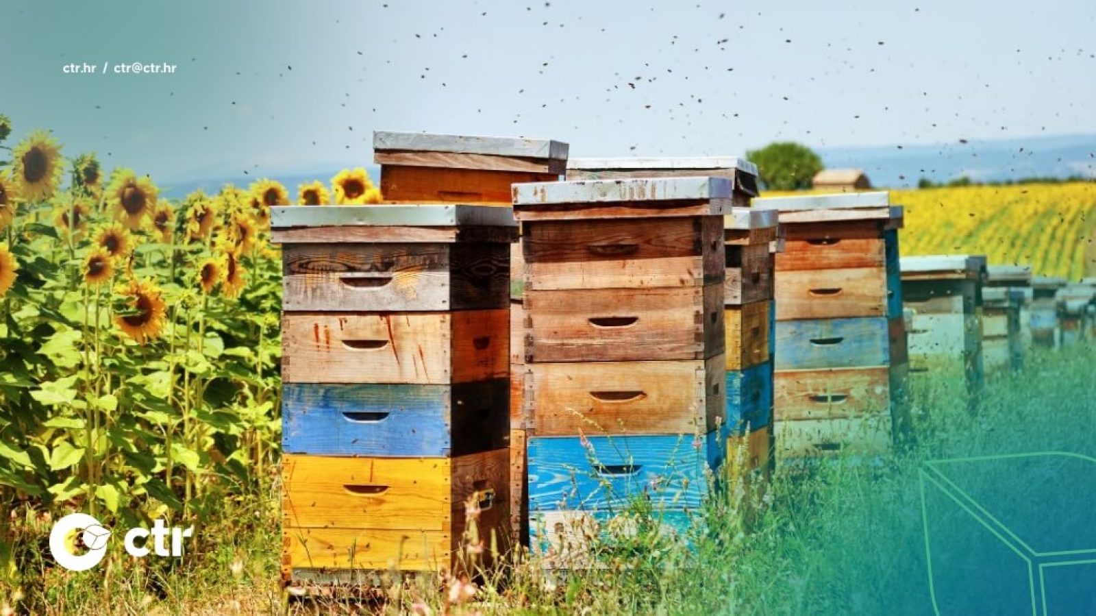 Javni natječaj za prikupljanje i odabir projekata istraživačkih programa u području pčelarstva