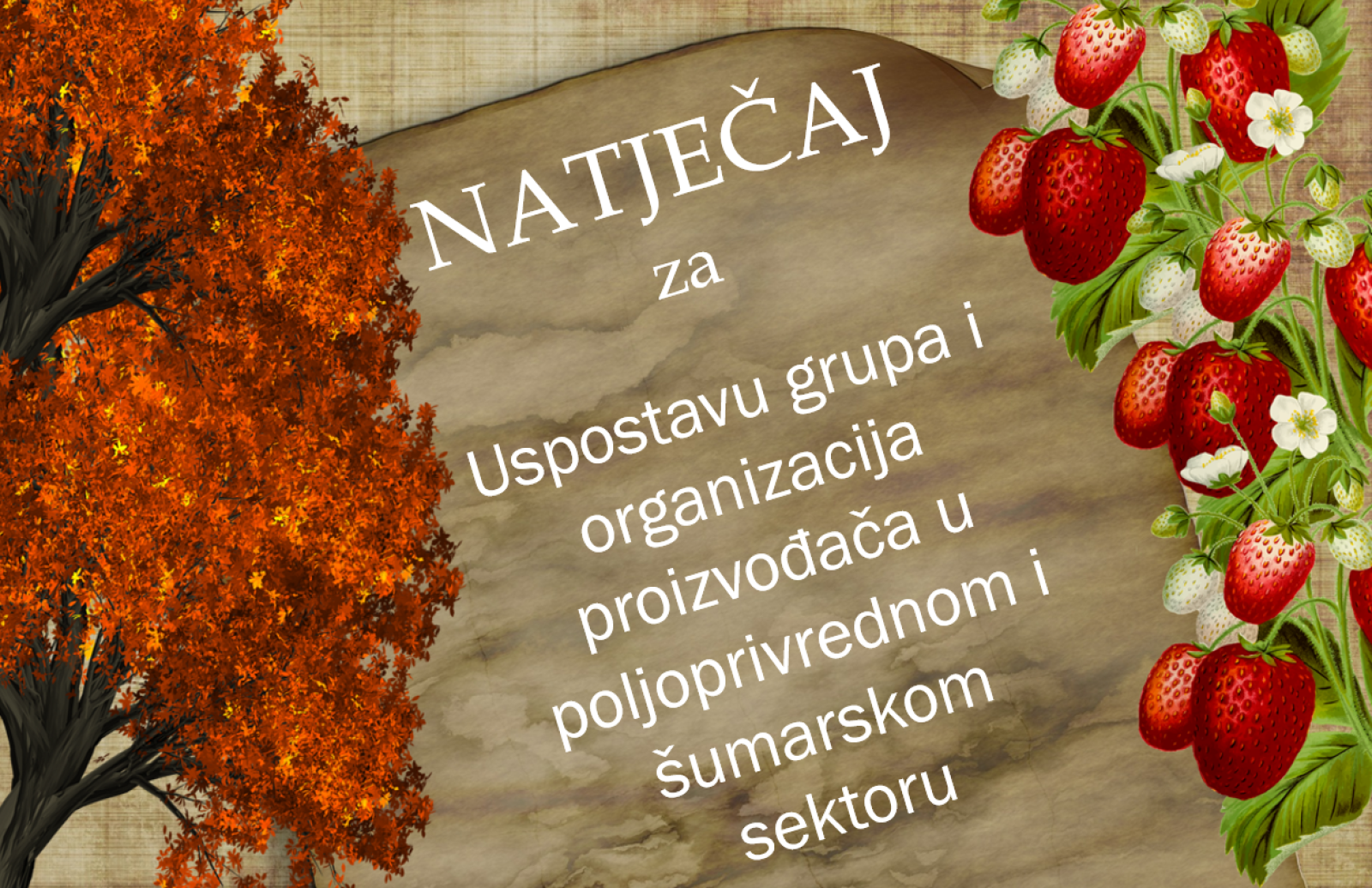 Objavljen natječaj za uspostavu grupa i organizacija