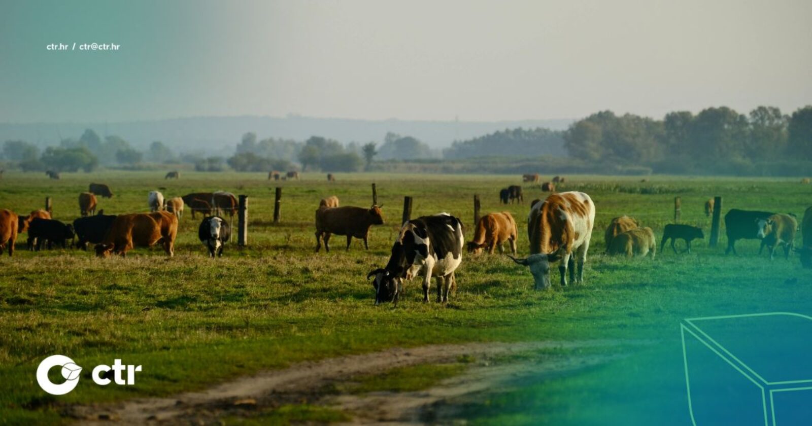 Četvrti natječaj za provedbu intervencije 70.05. Potpora za očuvanje, održivo korištenje i razvoj genetskih izvora u poljoprivredi za životinjske genetske resurse