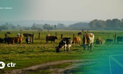 Četvrti natječaj za provedbu intervencije 70.05. Potpora za očuvanje, održivo korištenje i razvoj genetskih izvora u poljoprivredi za životinjske genetske resurse